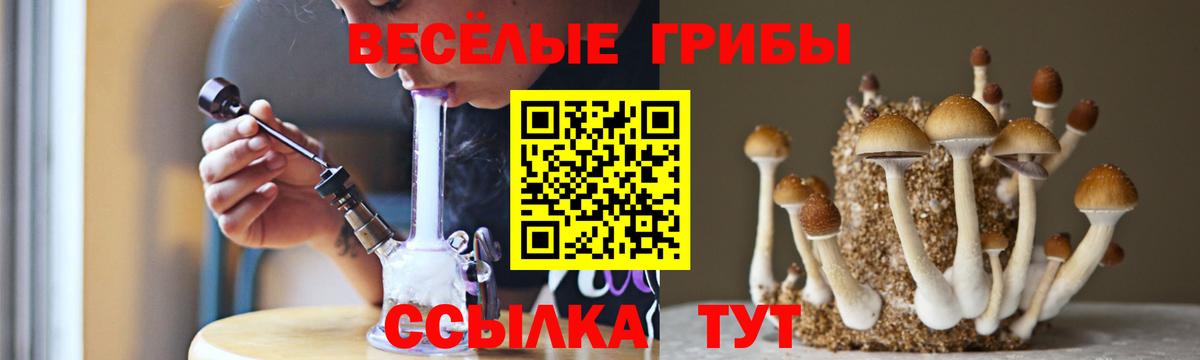 Новый Уренгой  закладки  Галлюциногенные грибы прущие грибы  Вход с VPN  Галлюциногенные грибы MAGIC MUSHROOMS 